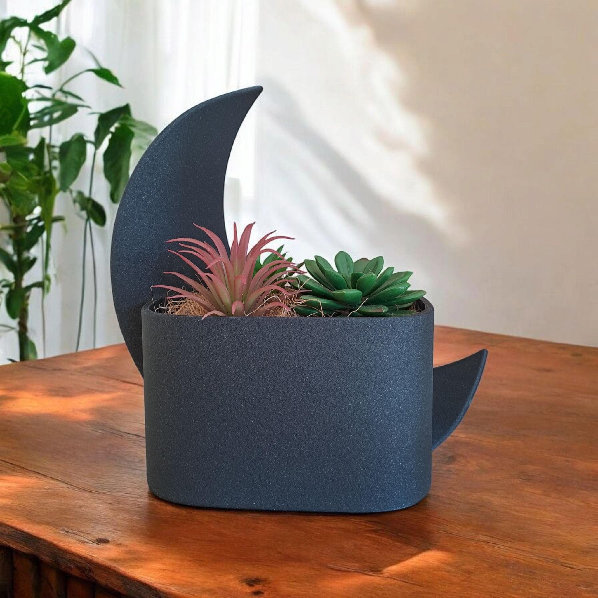 Moonlit Reverie Crescent Planter & Vase Set | Modern Home Decor | Celestial Design