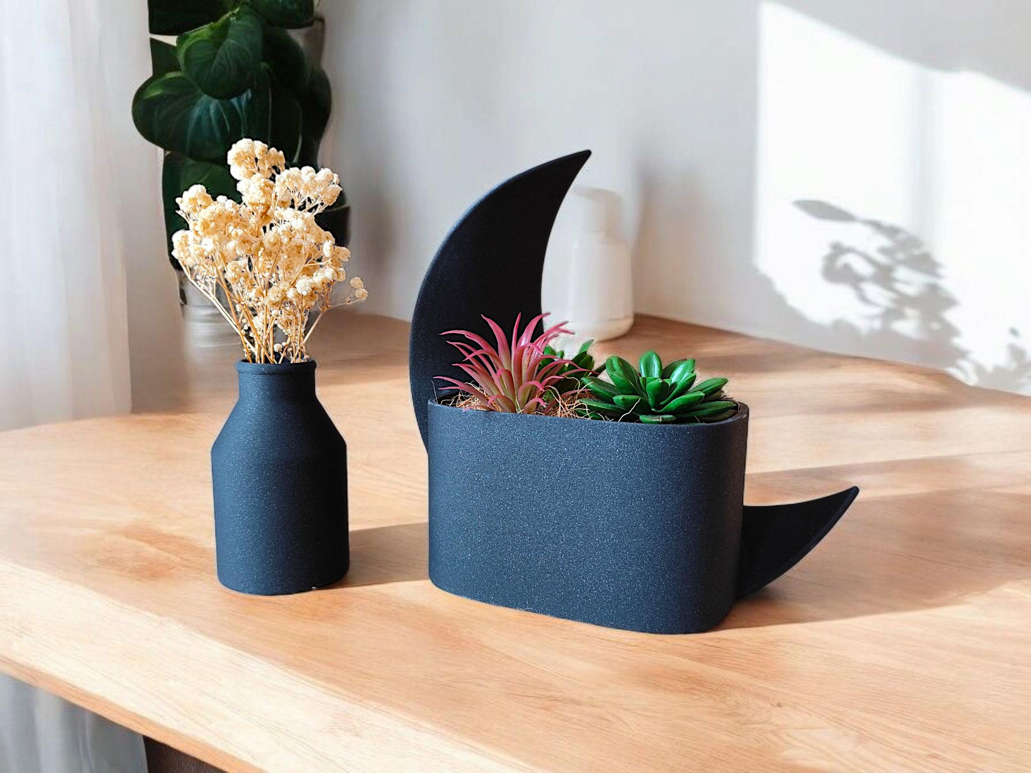 Moonlit Reverie Crescent Planter & Vase Set | Modern Home Decor | Celestial Design