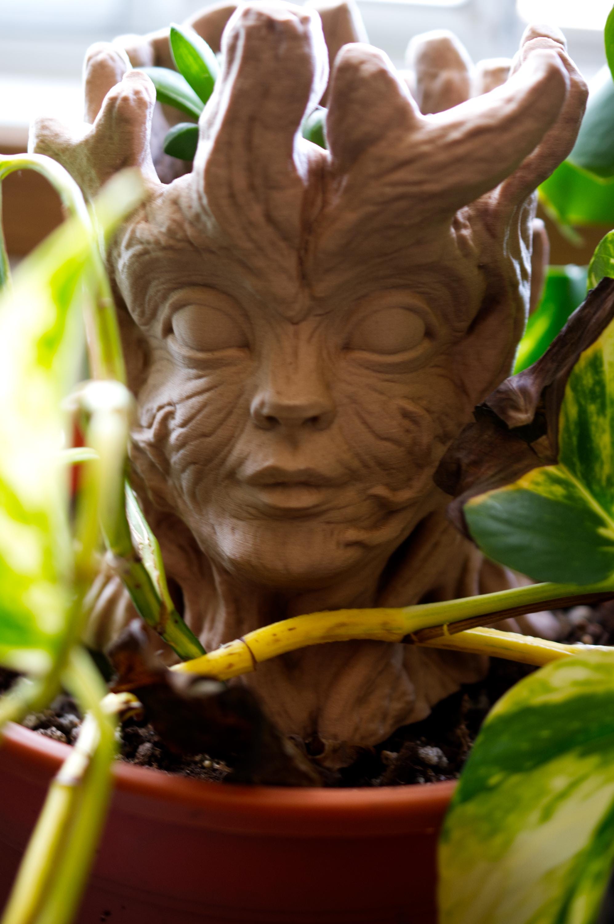 Wood Nymph Planter