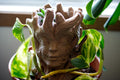 Wood Nymph Planter